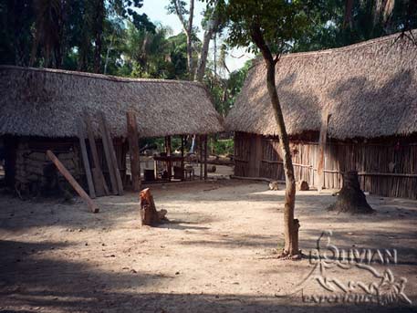 Dwellings of the locals in the vicinity of the River Yacuma, Rurrenabaque - Pampas, Beni, Bolivia