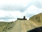 Shepherd with sheep on the way to Chacaltaya