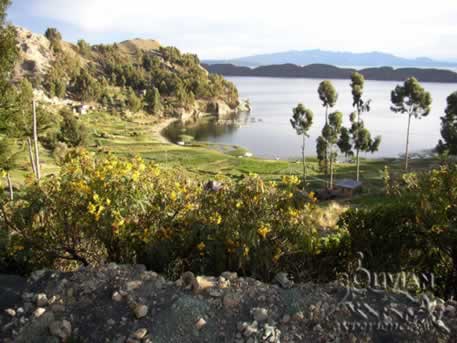 Road to Zampaya, Lake Titicaca, Bolivia