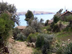 Lake Titicaca, Zampaya, Bolivia