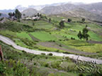 Palca Valley, Bolivia