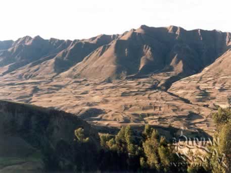 Illimani, Santiago de Collana, Cordillera Real,  Bolivia