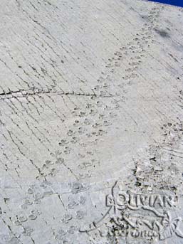 Dinosaur tracks at the Cal Orck'o paleontological site, Sucre, Chuquisaca, Bolivia