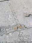 Dinosaur tracks at the Cal Orck'o paleontological site