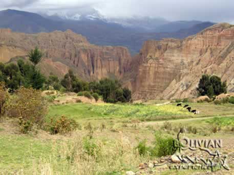 Palca Cañon, Cordillera Real, Bolivia