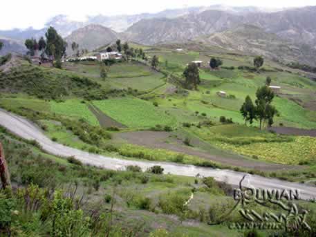 Palca valley, Cordillera Real, Bolivia