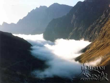 Cordillera Real, Unduavi valley, Bolivia