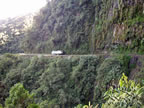 Cordillera Real, road to Coroico, Bolivia