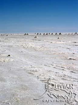 Salt piled into pyramids, manually scraped from the surface of Salar de Uyuni near the town of Colchani, Salar de Uyuni, Potosi, Bolivia