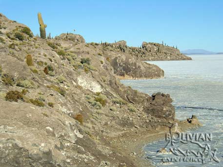 Shores of Fisherman’s Island (Isla Inkawasi), Salar de Uyuni, Bolivia