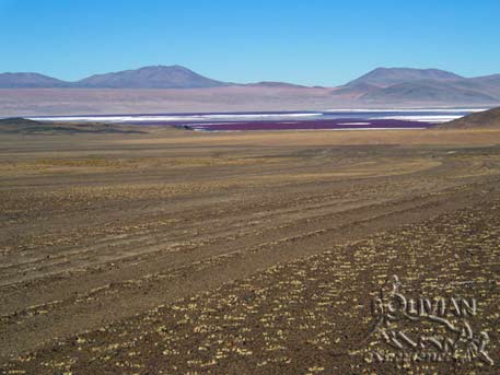 Distant views of Laguna Colorada (Red Lagoon) as on approaches it from the south, just before entering into the Eduardo Avaroa National Reserve, Southern Cordillera Occidental, Potosi, Bolivia