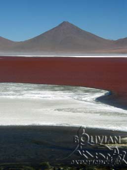 Laguna Colorada (Red Lagoon) with Mt. Pabellon (5480m – 17980 f) in the background, Eduardo Avaroa National Reserve, Southern Cordillera Occidental, Potosi, Bolivia