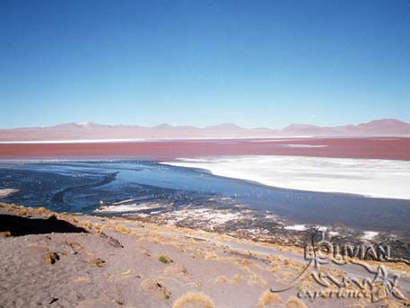Laguna Colorada (Red Lagoon) with borax islands and flamingos as little specs, Eduardo Avaroa National Reserve  , Southern Cordillera Occidental, Potosi, Bolivia