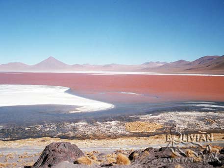 Laguna Colorada (Red Lagoon) with Mt. Pabellon (5480m – 17980 f) in the background, Eduardo Avaroa National Reserve, Southern Cordillera Occidental, Potosi, Bolivia
