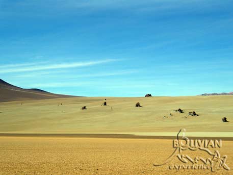 Rock formations at the Dali’s Plain, Siloli (Dalí) Desert, Eduardo Avaroa National Reserve, Potosi, Bolivia
