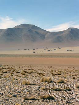 Rock formations at the Dali’s Plain, Siloli (Dalí) Desert, Eduardo Avaroa National Reserve, Eduardo Avaroa National Reserve, Sud Lipez, Bolivia