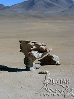 Arbol de Piedra (Stone Tree)  a volcanic rock formation sculptured by the strong winds of Siloli (Dalí) Desert, Bolivia