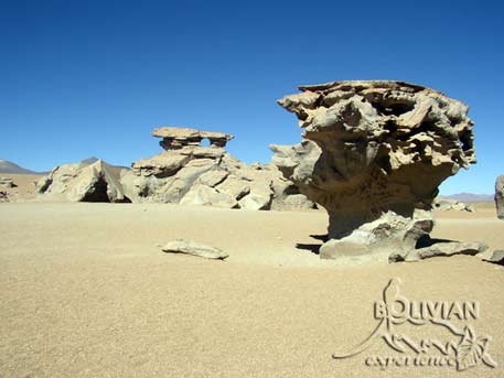 Strange volcanic rock formations and Arbol de Piedra (Stone Tree) sculptured by the strong winds of Siloli (Dalí) Desert, Bolivia
