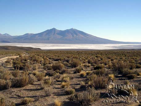 View of the western part of Salar de Chiguani with  Mt. Luxsar  (5398 m 17710 f) above it, Bolivia