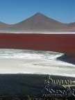 Laguna Colorada (Red Lagoon) with Mt. Pabellon (5480m – 17980 f) in the background, Eduardo Avaroa National Reserve, Sud Lipez, Bolivia