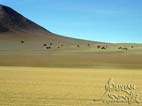 Rock formations at the Dali’s Plain, Eduardo Avaroa National Reserve, Southern Cordillera Occidental, Siloli (Dalí) Desert, Potosi, Bolivia