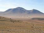 Rock formations at the Dali’s Plain, Siloli (Dalí) Desert, Eduardo Avaroa National Reserve, Southern Cordillera Occidental, Potosi, Bolivia