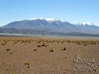 Peaks of the Cordillera Occidental along the Bolivia – Chile border, Potosi, Bolivia