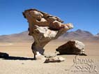 Arbol de Piedra (Stone Tree)  a volcanic rock formation sculptured by the strong winds of Siloli (Dalí) Desert, Southern Cordillera Occidental, Potosi, Bolivia