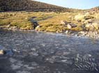 Early morning ice on Ojo Canchillas creek on the road from Laguna Colorada to Villamar, Potosi, Bolivia