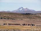 Small hamlet with the Mt. Chuhuilla (5435 m – 17830 f) in the background, Nor Lipez, Potosi, Bolivia