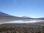 Laguna Hedionda (Stinking Lagoon) with  Volcano Ollagüe (5868 m - 19250 f) in the background, Nor Lipez, Bolivia