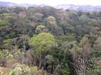 View of the northern section of the Park, Amboro National Park, Santa Cruz, Bolivia