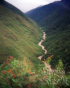 One of the tributary creeks of River Huarinilla, as seen from Choro Inca trail high up above the River , Cotapata National Park, La Paz, Bolivia