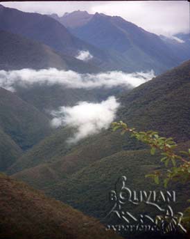 Deep valley of River Huarinilla, as seen from Choro Inca trail high up above the River, Cotapata National Park, La Paz, Bolivia
