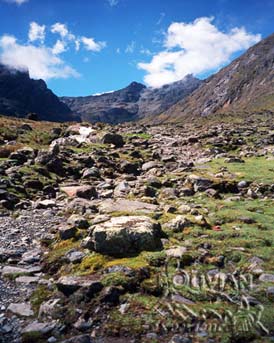 Choro Inca trail at the bottom of Chucura valley, Cotapata National Park, La Paz,Bolivia