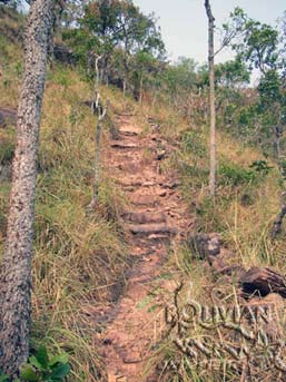 Trail climbing up to Huanchaca Plateau, Noel Kempff Mercado National Park, Santa Cruz, Bolivia