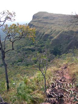 View of Huanchaca Plateau from the trail leading to the Plateau, Noel Kempff Mercado National Park, Santa Cruz, Bolivia