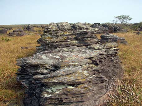 Rock outcrops at the top of Huanchaca Plateau, Noel Kempff Mercado National Park, Santa Cruz, Bolivia